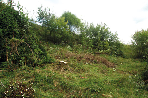 image001