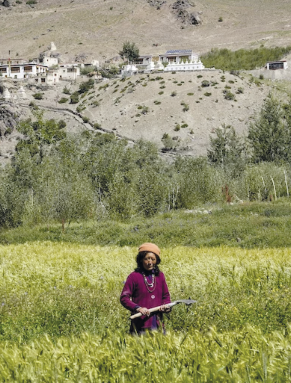 Cap sur le Monde :  Le Zanskar, semeuses de joie