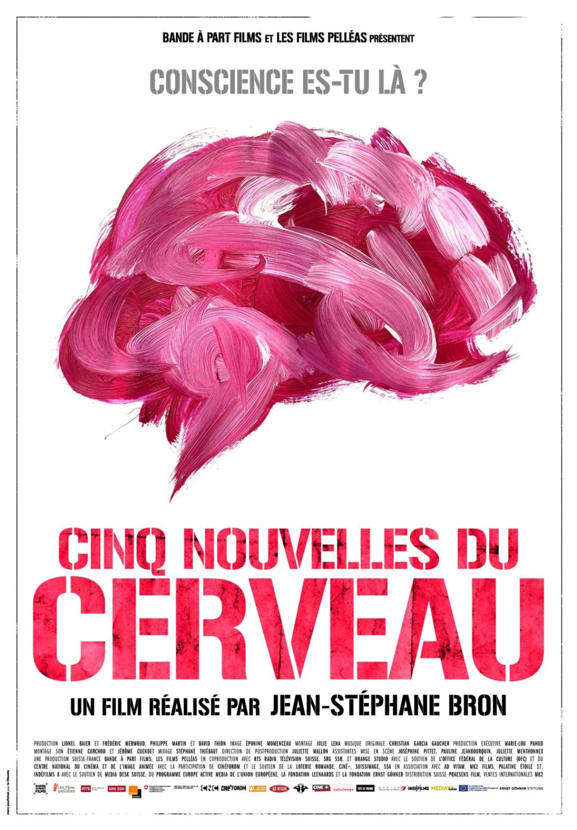 Cinq Nouvelles du Cerveau