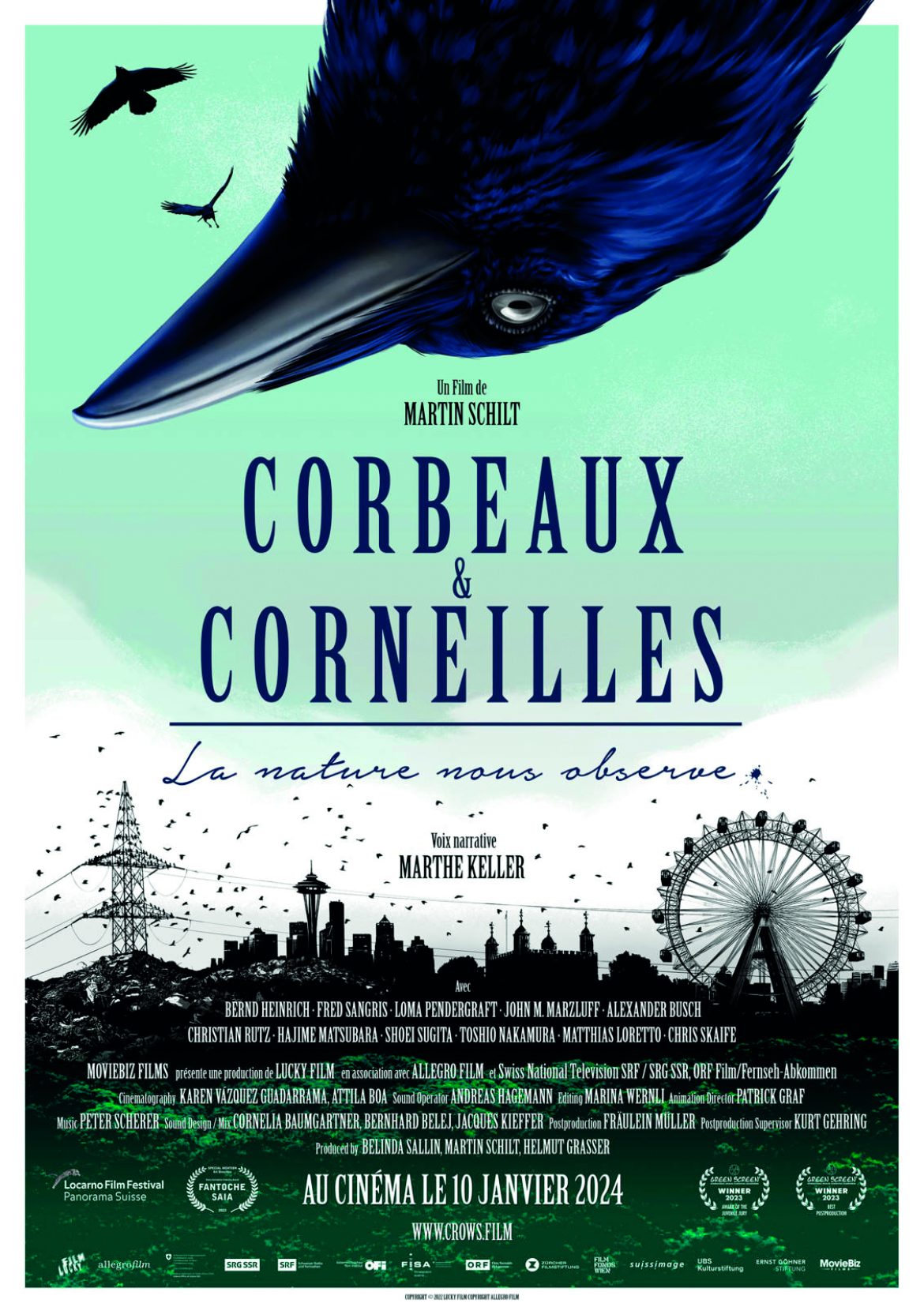 Corbeaux & Corneilles