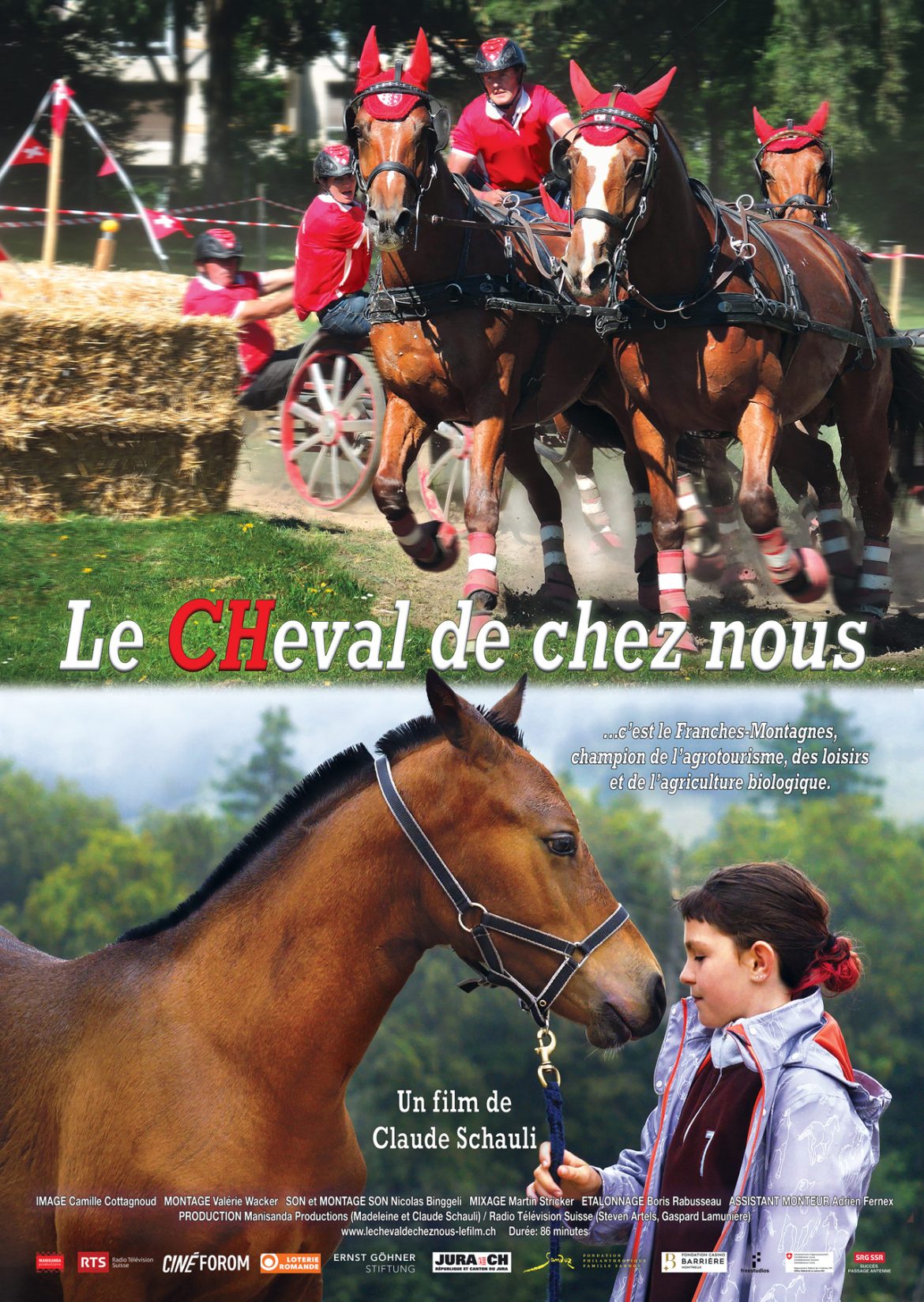 Le CHeval de chez nous