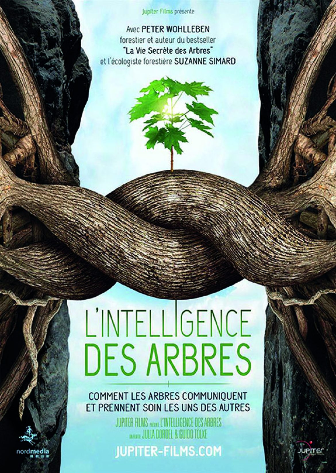 L’Intelligence des arbres (et le trésor caché des plantes)