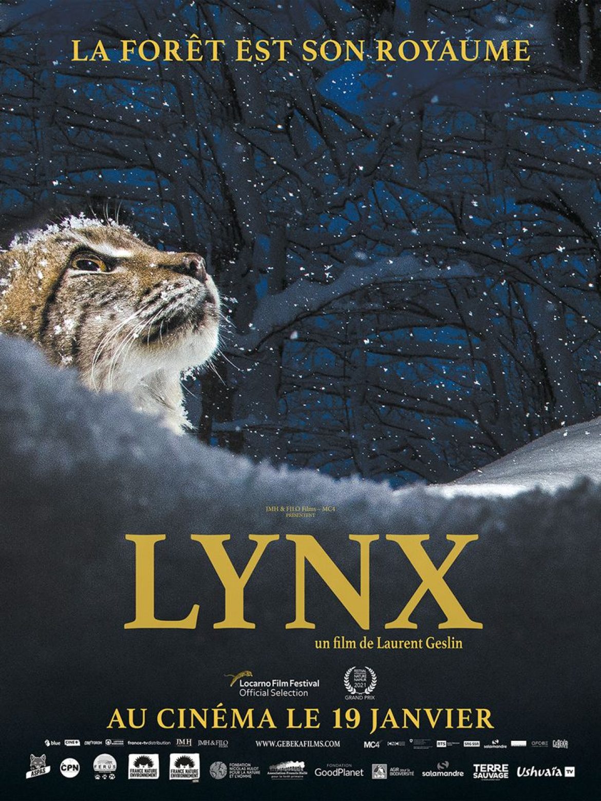 Ciné pour Tous : Lynx