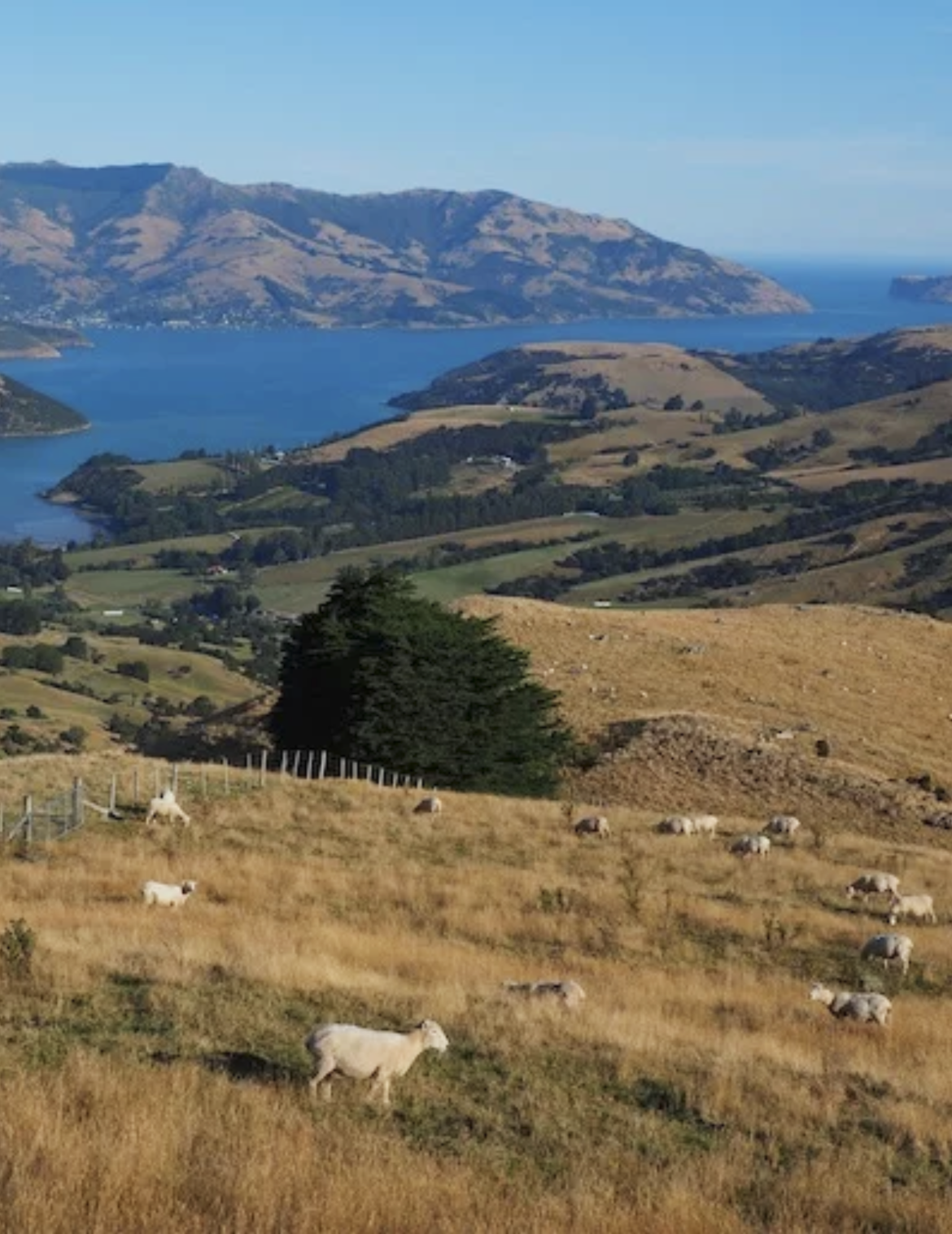 CAP SUR LE MONDE NOUVELLE-ZéLANDE